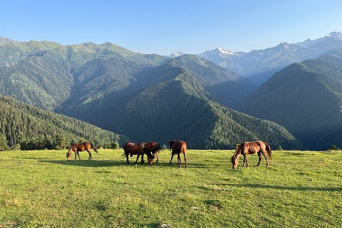 From Tbilisi: Svaneti 4 Days Private tour (Mestia, Ushguli) - Exploring the 4-Day Svaneti Private Tour from Tbilisi