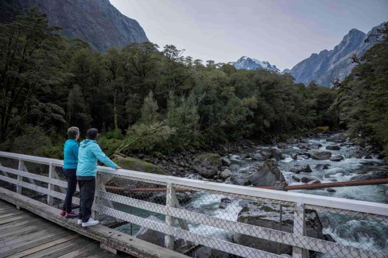 From Te Anau: Milford Sound Coach, Cruise, and Walks - Key Points