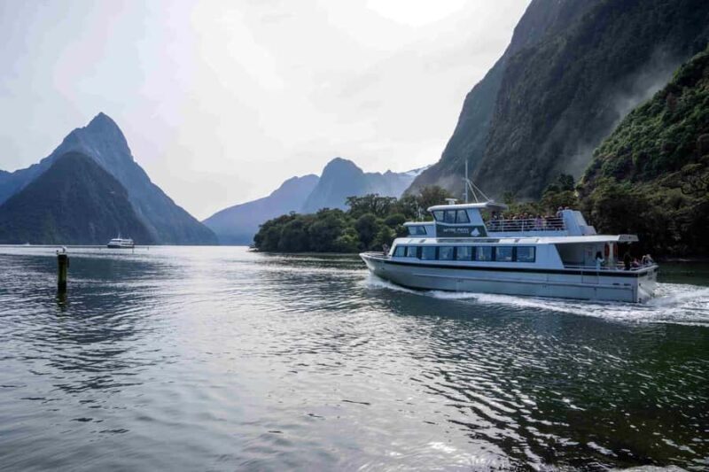 From Te Anau: Milford Sound Coach, Cruise, and Walks - What Travelers Say