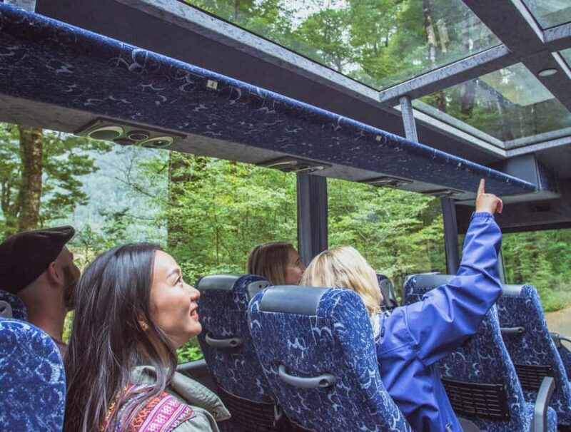 From Te Anau: Milford Sound Coach Tour and Cruise - Introduction