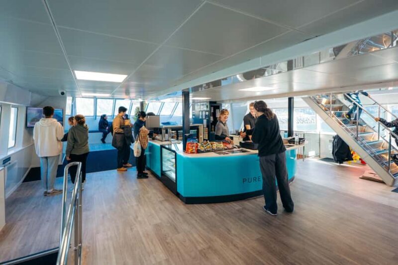 From Te Anau: Milford Sound Coach Tour and Cruise - FAQ