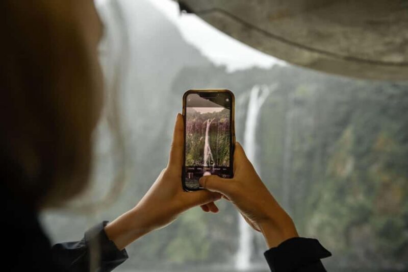 From Te Anau: Milford Sound Cruise and Coach Day Trip - Final Thoughts