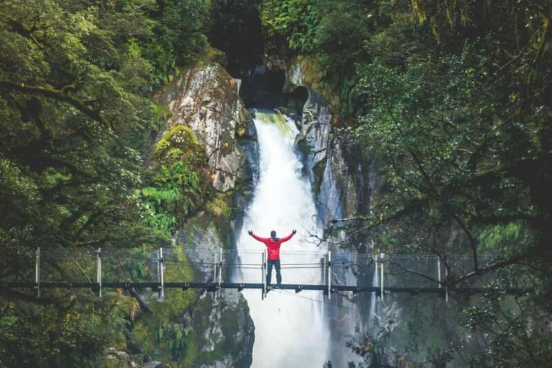 From Te Anau: Milford Sound Cruise & Track Walk by Coach - The Itinerary: What You Can Expect