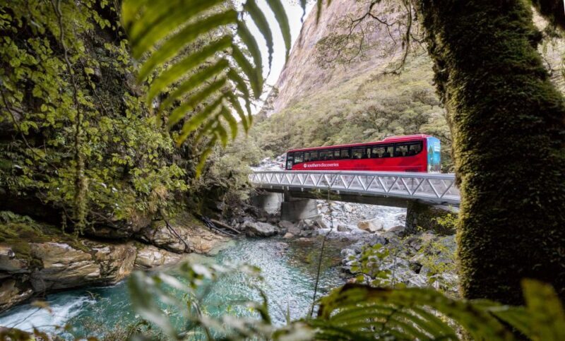 From Te Anau: Milford Sound Premium Bus Tour and Cruise - FAQ
