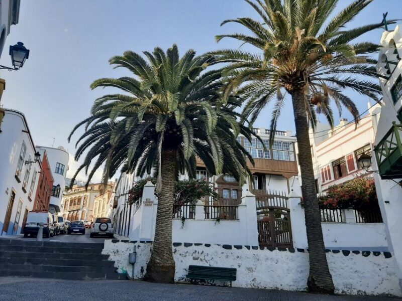 From Tenerife: Day Trip to La Palma Volcanic Landscapes - Practical Tips for Booking and Enjoying the Tour