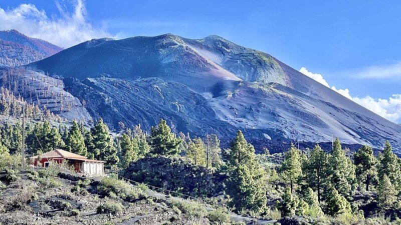 From Tenerife: Day Trip to La Palma Volcanic Landscapes - Frequently Asked Questions
