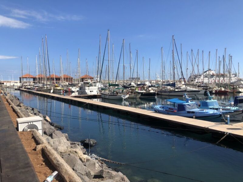 From Tenerife: Guided Tour to La Gomera with Ferry Ticket - Who Would Love This Tour?