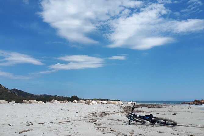 From the hills to Oasi Biderosa & Capo Comino with Electric Mountain Bikes - What the Tour Offers: A Balance of Adventure and Nature