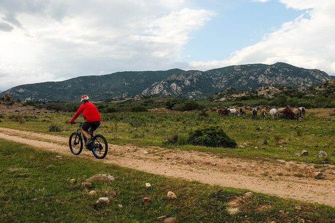 From the hills to Oasi Biderosa & Capo Comino with Electric Mountain Bikes - Final Thoughts: Is It Worth It?