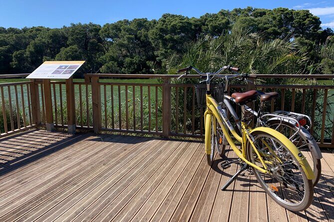 From the Old Town to the City of Arts  Small Group Bike Tour - Practicalities and Considerations