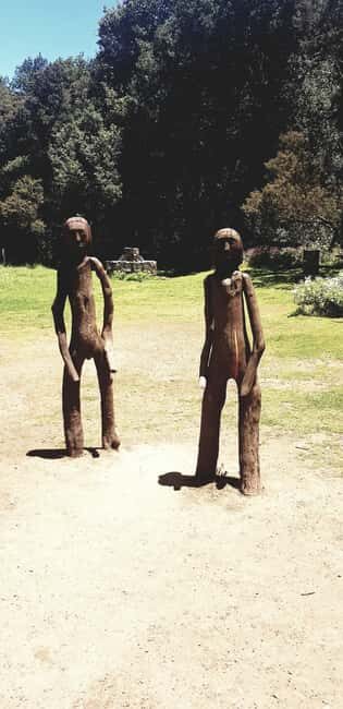 From the south of Tenerife: La Gomera full day trip - A Deep Dive into the La Gomera Full Day Trip