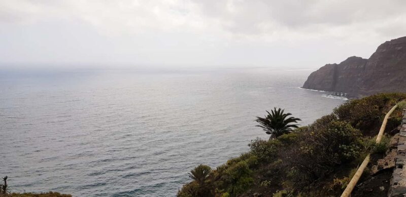 From the south of Tenerife: La Gomera full day trip - Who Will Get the Most Out of This Tour?
