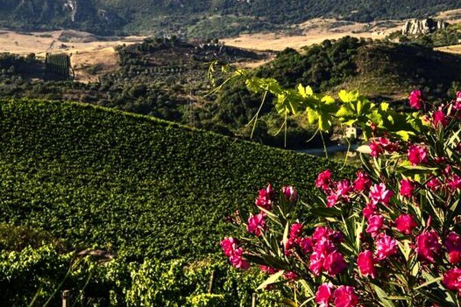 From the Vineyards to the Chalice: A Unique Tasting Experience - FAQs