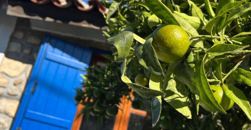 From Thessaloniki: Chalkidiki Hidden Gems Private Day Trip - Practical Tips