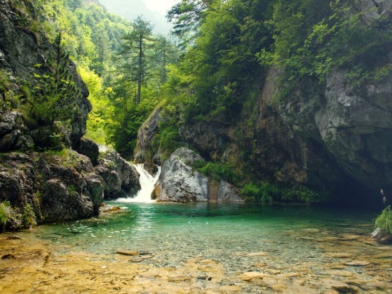 From Thessaloniki: Day Trip to Dion and Mount Olympus Park - Additional Highlights: Litochoro and Scenic Drives