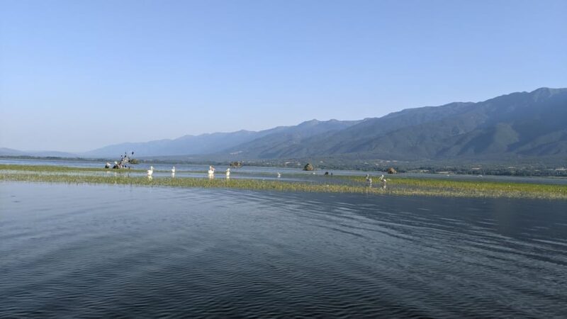 From Thessaloniki: Lake Kerkini, Boat Ride & Winery Day Tour - The Journey to Lake Kerkini: What to Expect