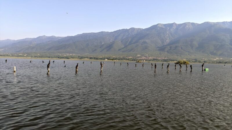 From Thessaloniki: Lake Kerkini, Boat Ride & Winery Day Tour - In-Depth: Why This Tour Works Well