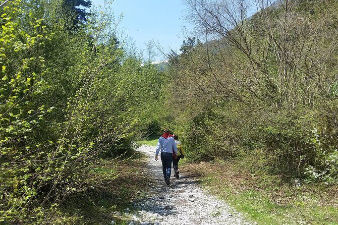 From Thessaloniki: Olympus and Dion History and Nature Day Trip - Exploring the Olympus and Dion Day Trip from Thessaloniki