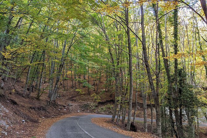 From Thessaloniki: Olympus and Dion History and Nature Day Trip - Why This Tour Offers Great Value