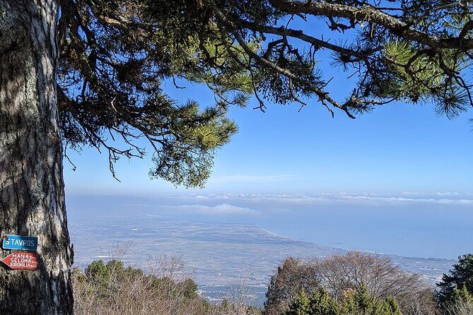 From Thessaloniki: Olympus and Dion History and Nature Day Trip - Who Should Consider This Tour?