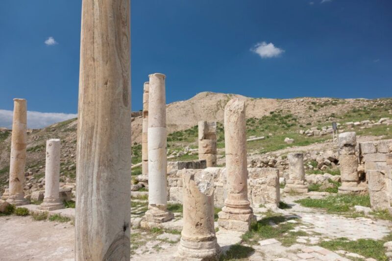 From Thessaloniki: Pella, Edessa and Naoussa Full-Day Tour - Naoussa and the Xinomavro Wine Experience