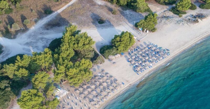 From Thessaloniki: Private Day Trip to Kassandra Chalkidiki - Who Will Love This Experience?