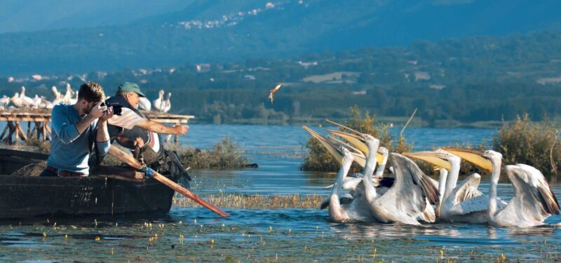 From Thessaloniki: Private Day Trip to Kerkini Lake - Who Would Love This Tour?