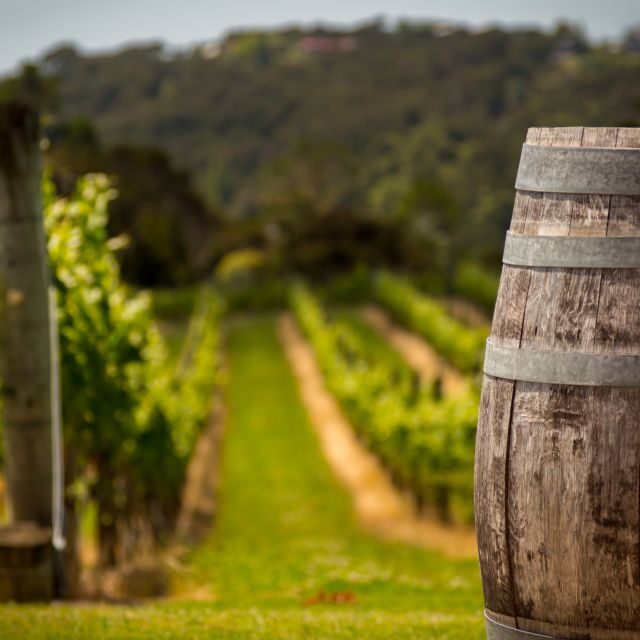 From Thessaloniki: Private Day Trip to Sithonia Chalkidiki - Exploring the Sithonia Peninsula: An In-Depth Look