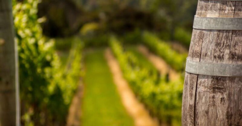 From Thessaloniki: Private Day Trip to Sithonia Chalkidiki - Who Would Love This Tour?