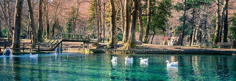 From Thessaloniki: Vergina, Agios Nikolaos, and Edessa - Who Will Love This Tour?