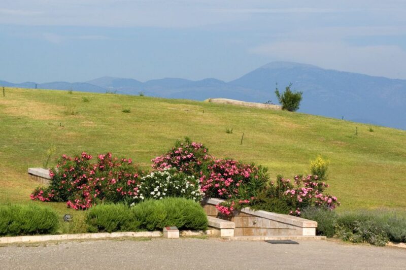 From Thessaloniki: Vergina & Veria Half-Day Tour - Final Thoughts: Is It Worth It?