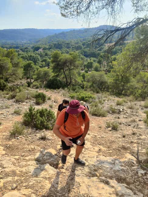 From Tholonet to the Bibémus quarries: Cézanne Hike - Key Points