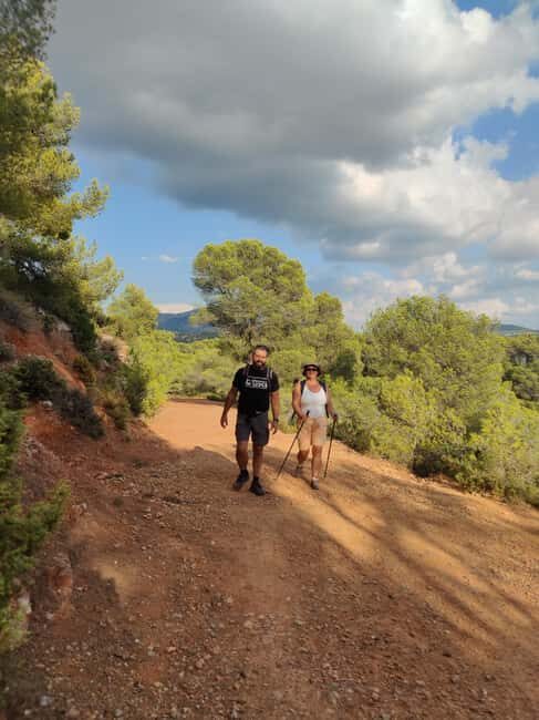 From Tholonet to the Bibémus quarries: Cézanne Hike - Who Will Love This Tour?