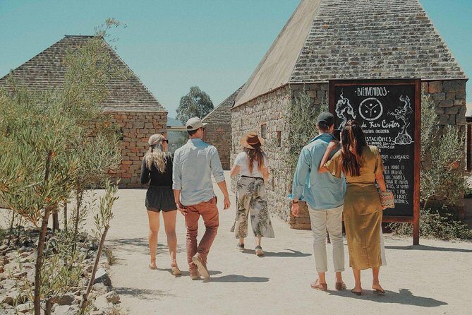 From Tijuana to Valle de Guadalupe private tour 6 passengers - Why Choose This Tour?