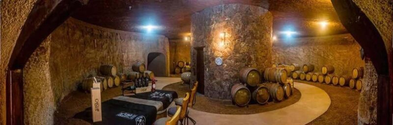 From Tijuana: Valle de Guadalupe Shared Winery Tour - Key Points