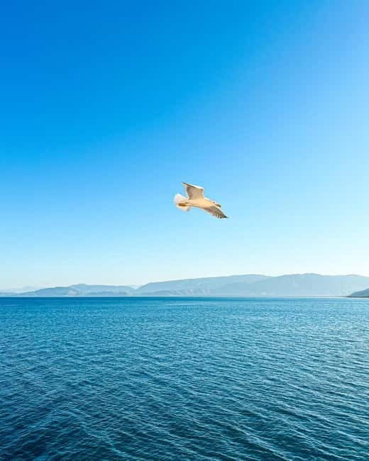 From Tirana: 2-Day Albanian Riviera & Dhermi Guided Tour - Day 2: History, Wine, and Coastal Charm