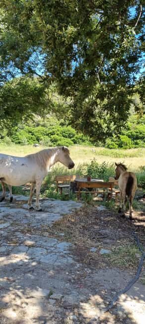 From Tirana: Cape of Rodon Sunset Photography Tour & Hiking! - Who Is This Tour Best For?