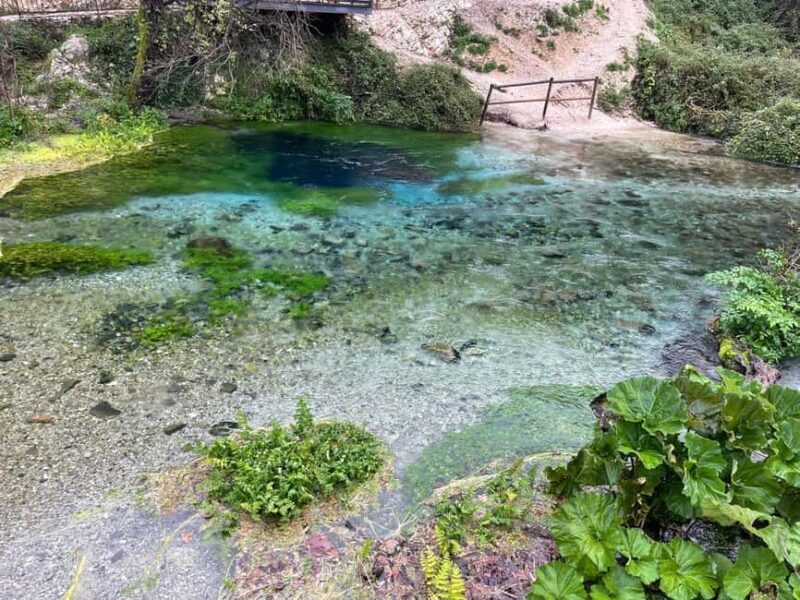 From Tirana/Durrës: Blue Eye, Ksamil and Gjirokastra Tour - Exploring the Itinerary: What to Expect