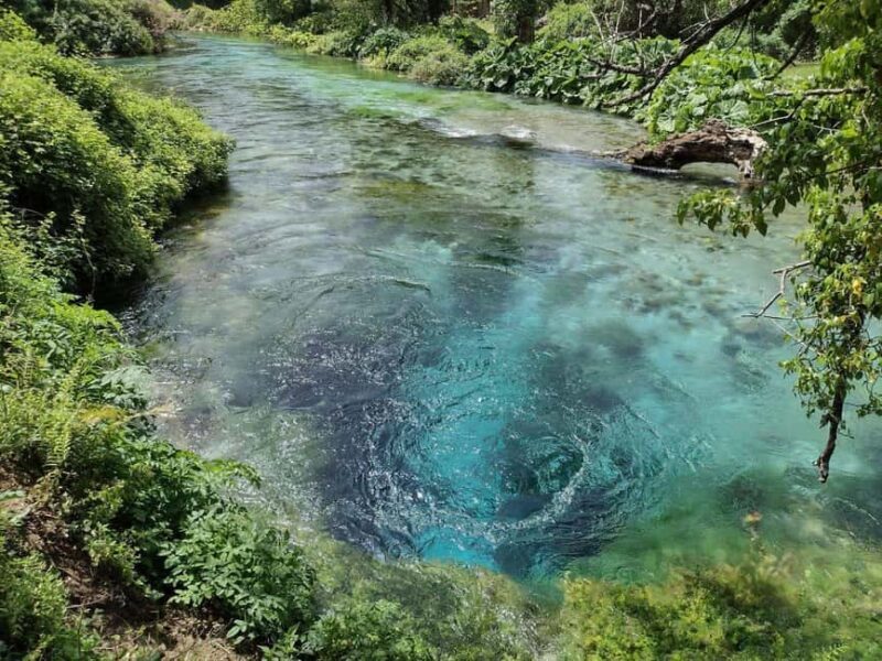 From Tirana/Durres: Gjirokastra UNESCO city & Blue Eye - Cost and Value