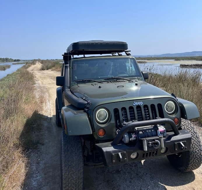 From Tirana/Durres : Karavasta Lagoon 4x4 Offroad Tour. - A Deep Dive into the Experience