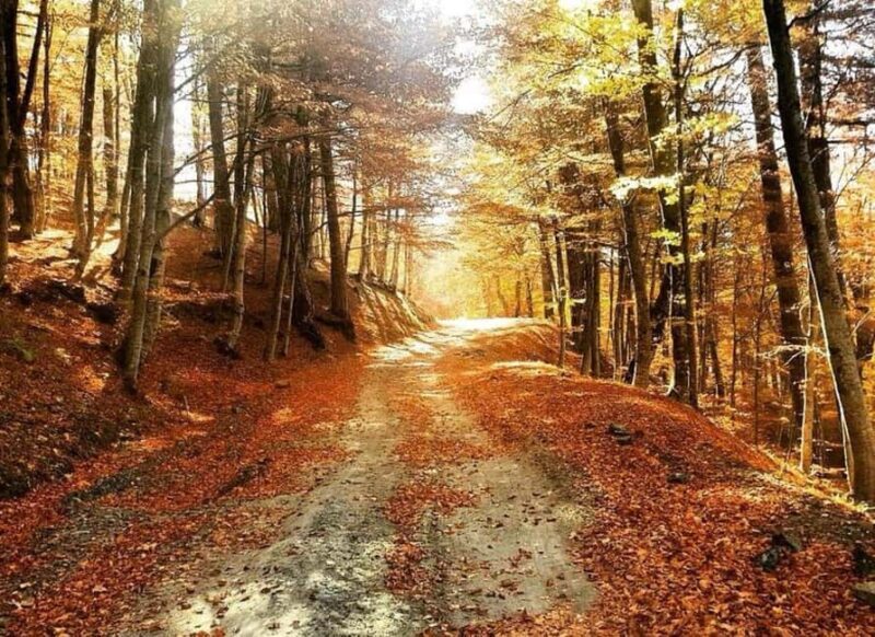 From Tirana / Durrës: Qafë-Shtamë, Sarisalltik & Krujë Tour - What Sets This Tour Apart