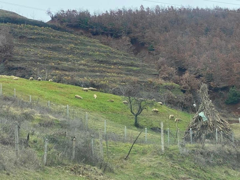 From Tirana/Durres: THINK GLOBAL, ACT AS A LOCAL - Wrapping It Up: Who Is This Tour For?