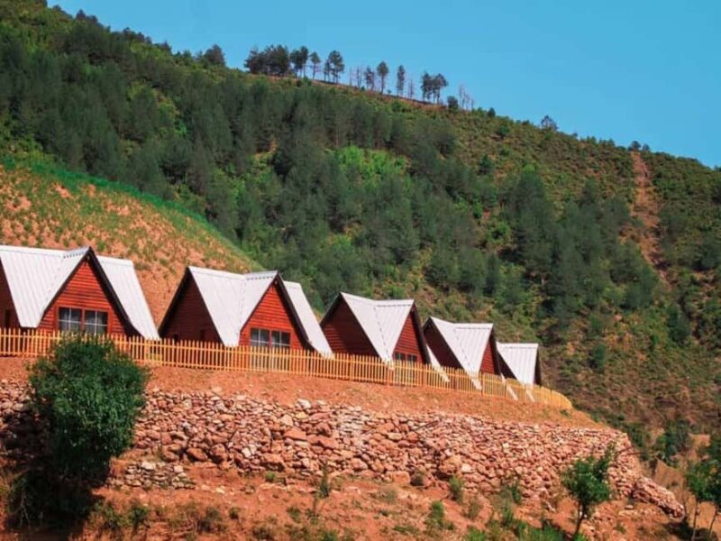 From Tirana: Komani Lake Day Tour with Traditional Lunch - Who Will Love This Tour?