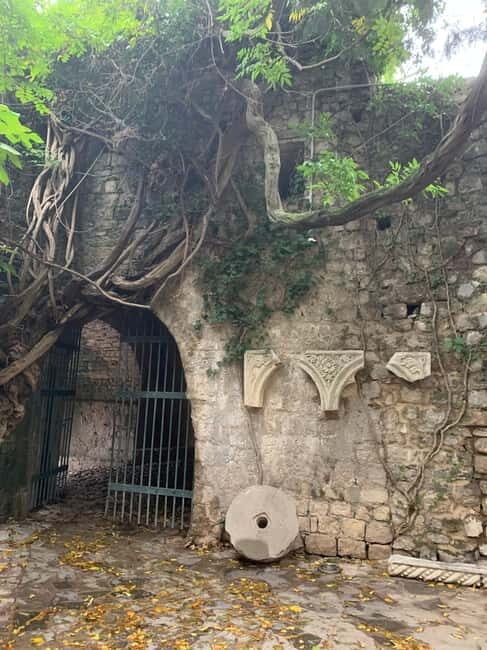 From Tirana: Shkodra and Ulcinj, Montenegro Day Tour - Exploring the Heritage and Natural Beauty of Shkodra and Ulcinj