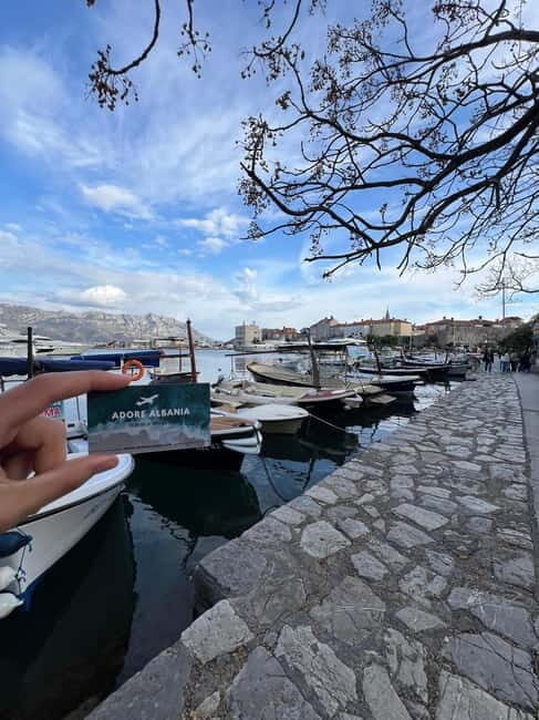 From Tirana to Montenegro: Kotor and Budva, Day tour - Who Would Love This Tour?
