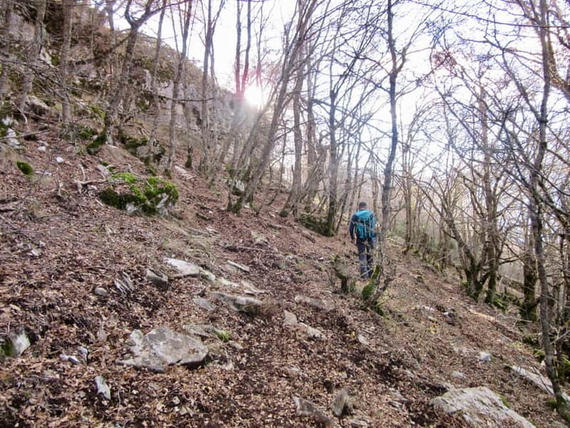 From Tirana: Vjosa River Rafting and Hiking 2-Day Trip - Why This Tour Might Be Perfect for You