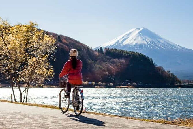 From Tokyo: Mount Fuji Full Day Private Tour With Engish Driver - Key Points