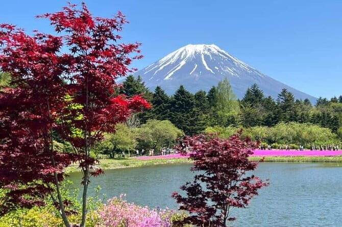 From Tokyo: Mount Fuji Full Day Private Tour With Engish Driver - Authentic Experiences and Practical Insights