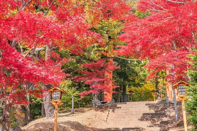 From Tokyo: Mount Fuji Sightseeing One Day Trip - A Detailed Look at the Tour Experience