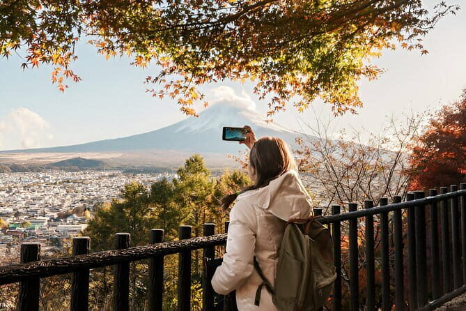 From Tokyo: Mt Fuji and Hakone Private Day Trip - Practical Details & What It Means for You